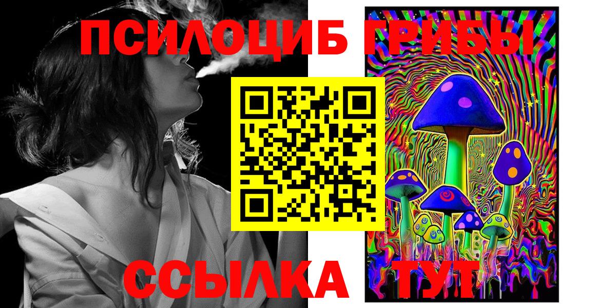Псилоцибиновые грибы прущие грибы  Вход с VPN  Кузнецк 